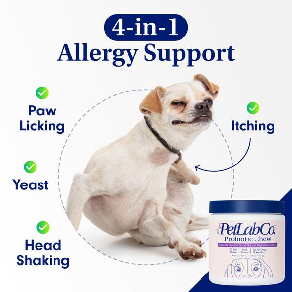 A square ad creative featuring a dog scratching itself, labeled with four common allergy symptoms, alongside the product packaging.